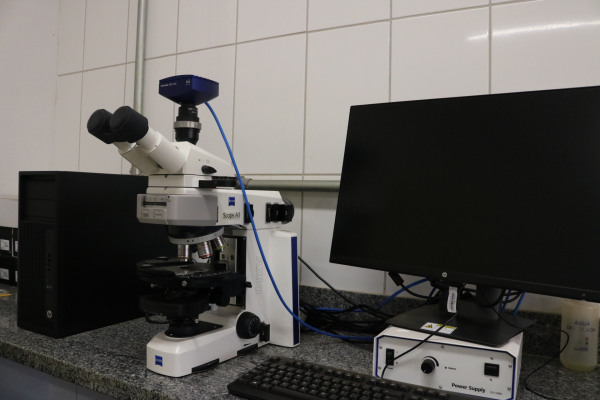 Microscópio trinocular com câmera embutida- modelo_ Axiocam 305 color e software específico para micromorfolgia Zeiss